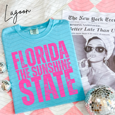 Florida The Sunshine State Comfort Colors Tee